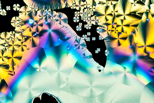 Ascorbinezuur kristallen in gepolariseerd licht — Stockfoto