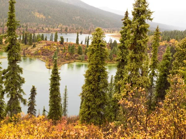 Fall rain on wilderness lake, Yukon T., Canada — Stock Photo, Image