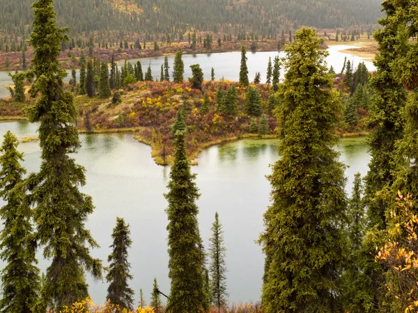Yağmur sonbahar vahşi doğa göl, yukon t., canada — Stok fotoğraf