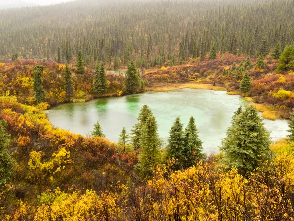 Esik eső, a vadonban tó, Yukon T., Kanada — Stock Fotó