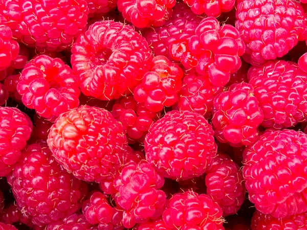 stock image Juicy ripe raspberries background texture pattern