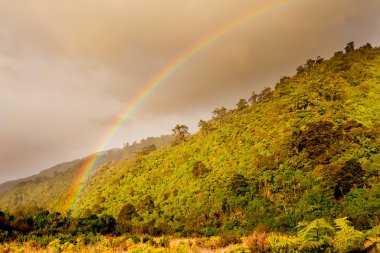 Rainbow over forest foothills, West Coast, NZ clipart