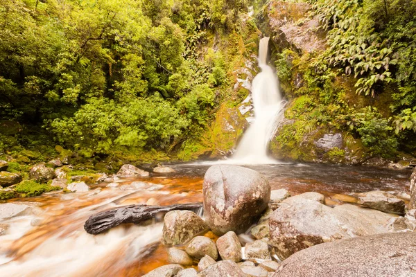 Woud waterval cascades in zwembad in het weelderige groen — Stockfoto