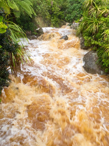 Inondation éclair dans le ruisseau West Coast, Nouvelle-Zélande Île du Sud — Photo