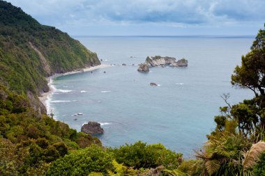 Tasman Sea at West Coast of South Island of NZ clipart