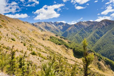 Alp sahne Güney Alpler'in, Yeni Zelanda