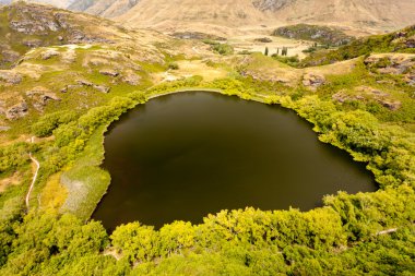 Green oasis in dry highlands of Central Otago, NZ clipart