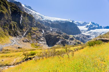 Rob Roy Glacier in Mt Aspiring NP Southern Alps NZ clipart