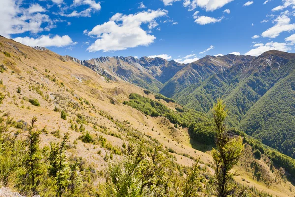 Alpine landschap in de zuidelijke Alpen, Nieuw-Zeeland — Stockfoto