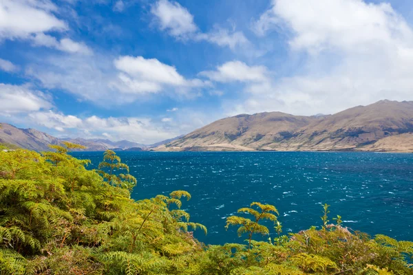 Штормовая поверхность озера Ванака, Центральная Отаго, Новая Зеландия — стоковое фото