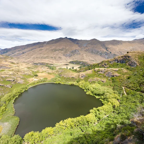 Green oasis in dry highlands of Central Otago, NZ — Stock Photo, Image