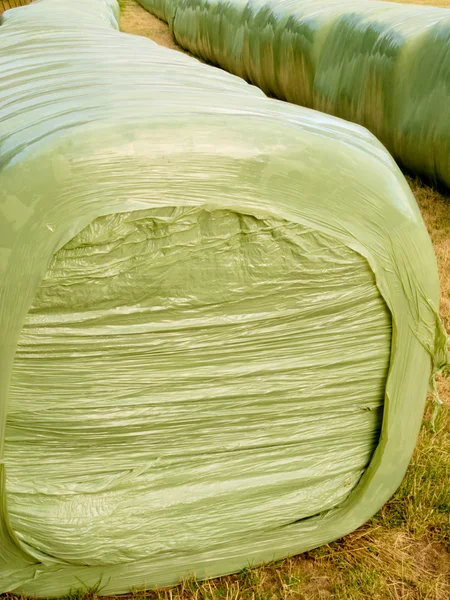 Haylage bales lăsat în aer liber pentru fermentație — Fotografie, imagine de stoc