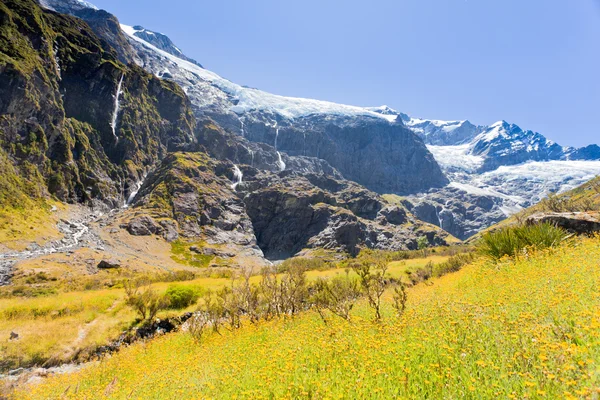 Rob roy glaciären i mt blivande np södra Alperna nz — Stockfoto