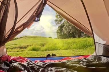 Campsite nature view from inside a tent clipart