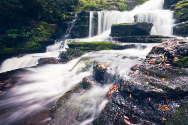 McLean Falls in The Catlins region of New Zealand clipart