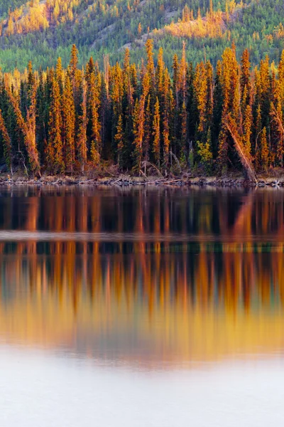 Zonsondergang reflecties op boreale bossen meer in yukon — Stockfoto