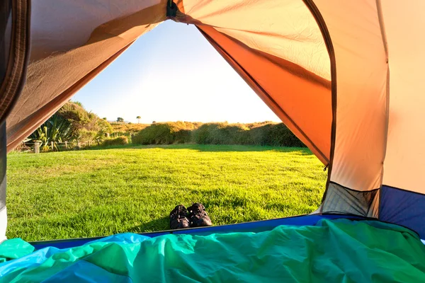 녹색 풀밭과 숲 오픈 텐트 문을 통해 본 — 스톡 사진