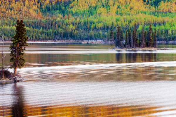 Reflexiones al atardecer sobre el lago del bosque boreal en Yukón — Foto de Stock