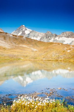 Grossglockner in Austria mirrored on alpine pond