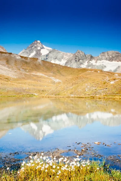 Grossglockner i Österrike speglas på alpina dammen — Stockfoto