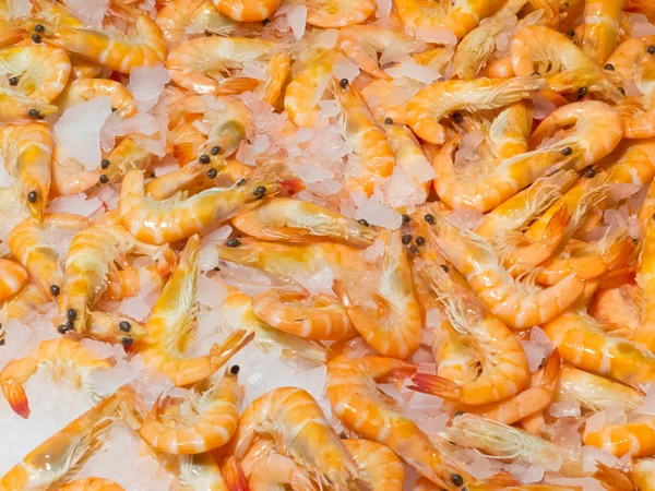 Background of whole cooked orange prawn shrimps — Stock Photo, Image