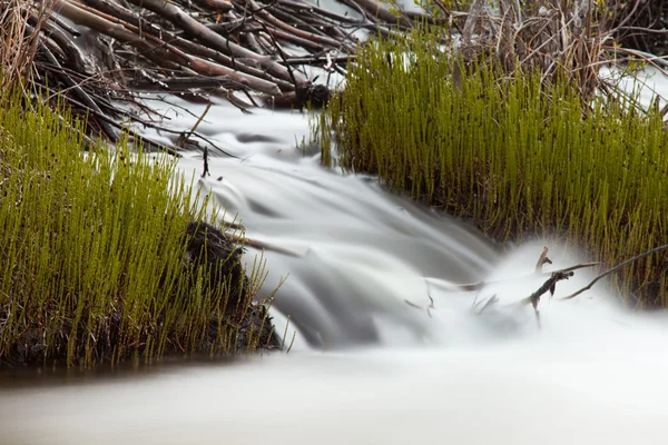 Waterval trapsgewijze over hout puin van beaver dam — Stockfoto