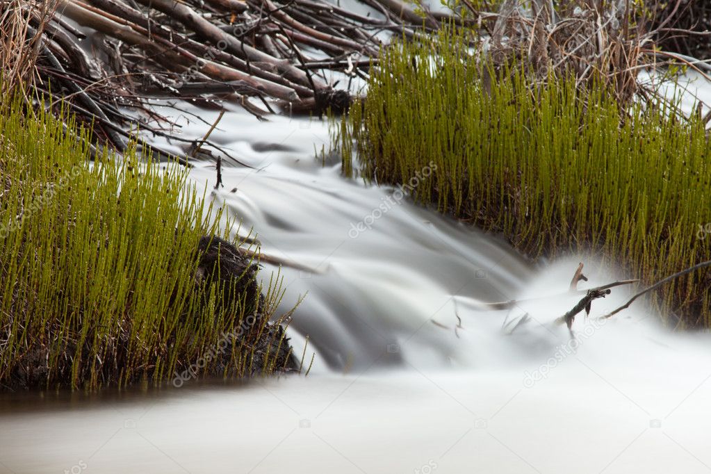 Waterfall cascading over wood debris of beaver dam