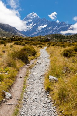 Hooker Valley with Aoraki Mt Cook Southern Alps NZ clipart