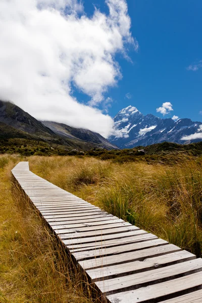 Hooker Valley con Aoraki Mt Cook Southern Alps NZ — Foto de Stock