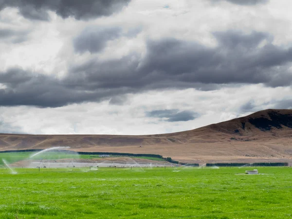 Irrigação de pastagens exuberantes no centro de Otago NZ — Fotografia de Stock