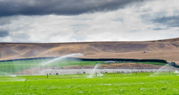 Irrigatie weelderige boerderij weilanden in central otago nz — Stockfoto