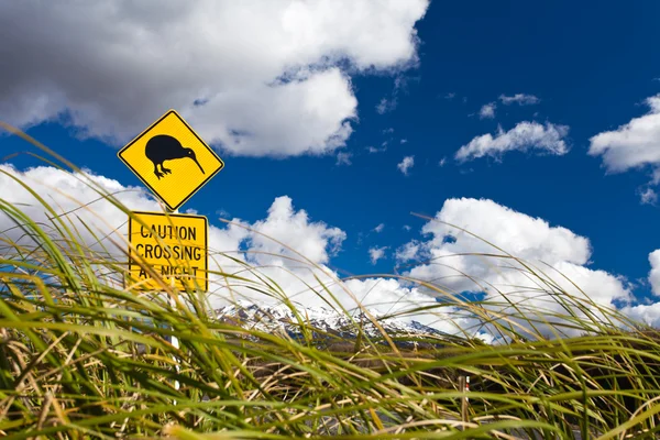 Kiwi überquert Straßenschild und Vulkan ruapehu in nz — Stockfoto