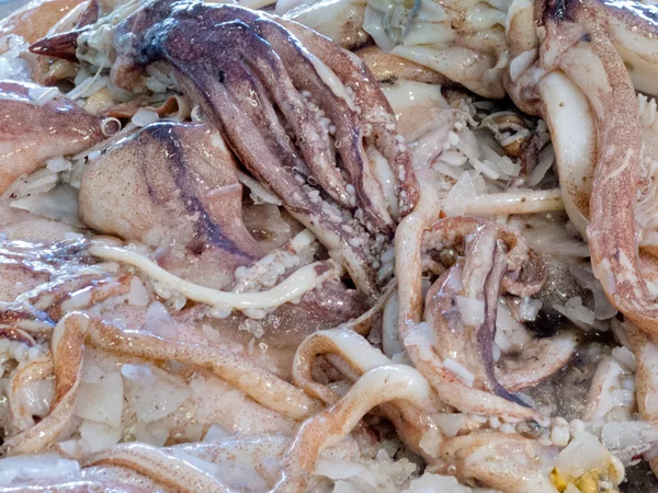 Aanbod van verse octopus gekoeld met ijs — Stockfoto
