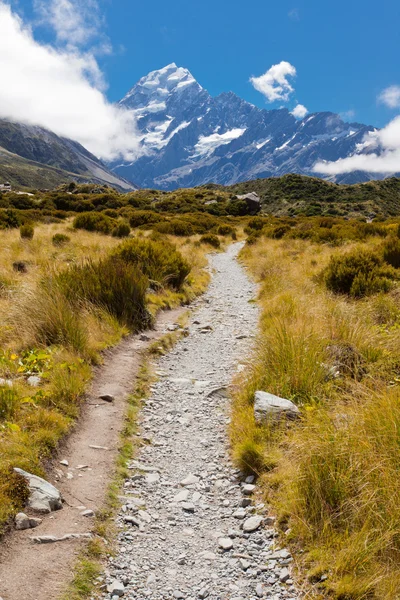 Hooker Valley avec Aoraki Mt Cook Alpes du Sud NZ — Photo
