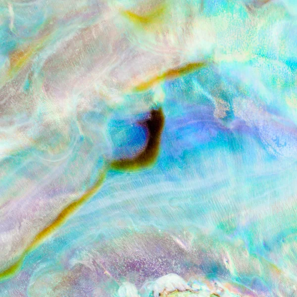 帕瓦或鲍鱼壳背景闪亮珍珠层 — 图库照片