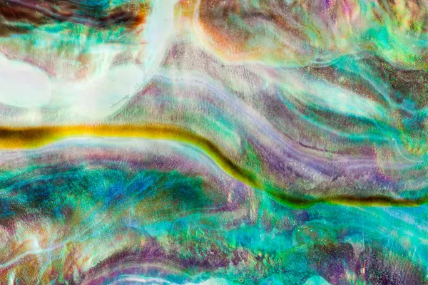 Nacre brillante de Paua o fondo de concha de Abalone — Foto de Stock