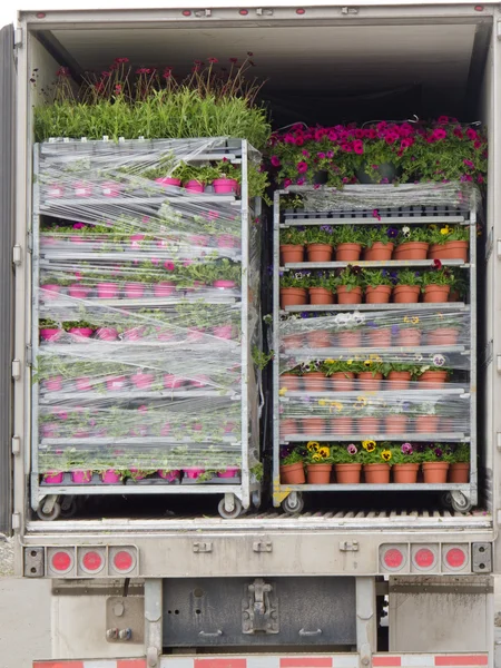 Camión de reparto abierto cargado con paletas de plantas de maceta —  Fotos de Stock