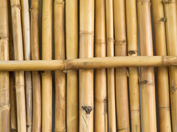 Patrón de textura de fondo de palos de bambú secos — Foto de Stock