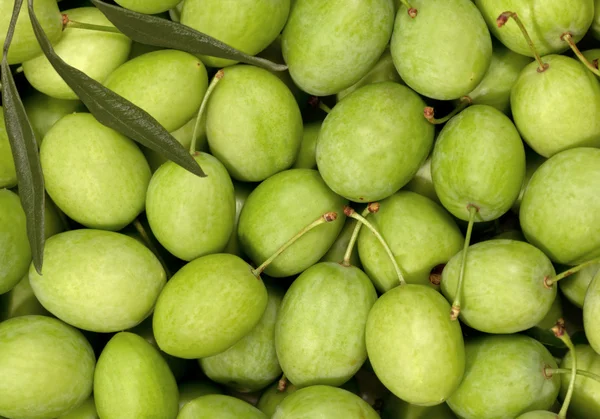 Green Olives — Stock Photo, Image