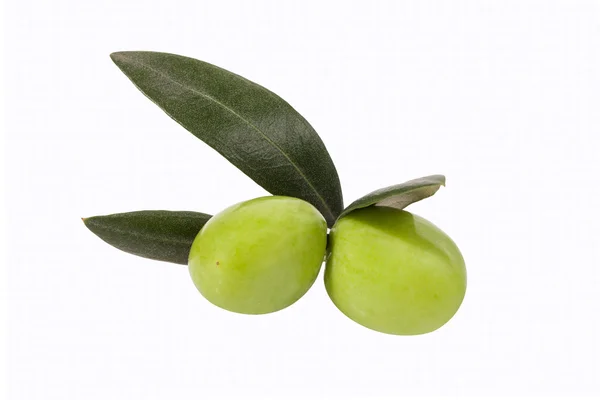 Olive on Brach — Stock Photo, Image