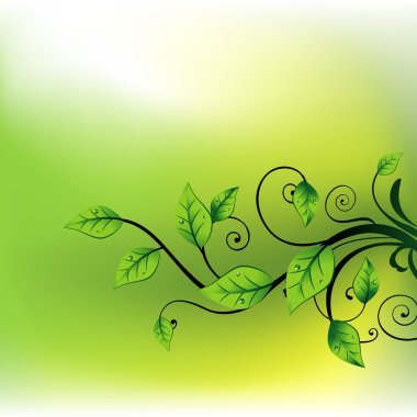 vector beautiful leaf clipart