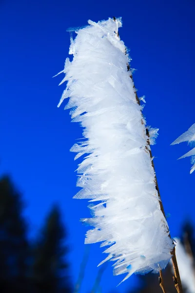 Ice age frost — Stock Photo, Image