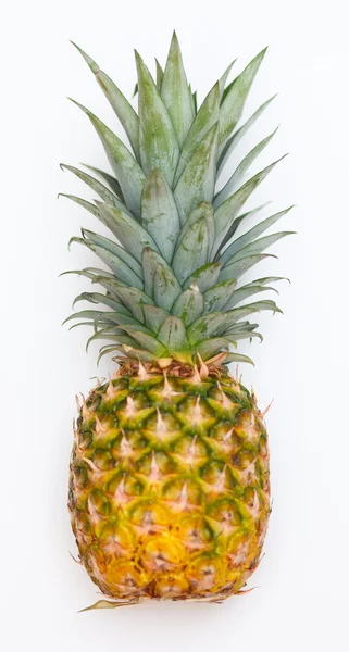 Ananas isoliert — Stockfoto