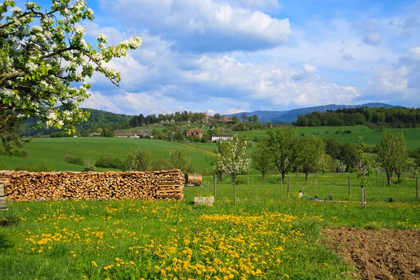 Spring landscape - green fields, the blue sky — Stock Photo, Image