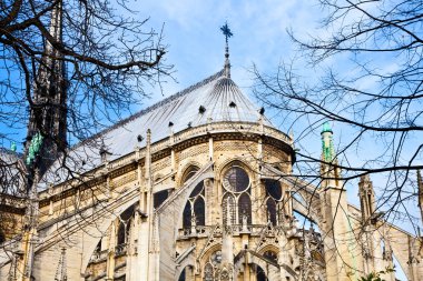 Notre dame Katedrali - paris