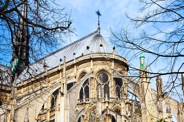 Catedral de Notre Dame - Paris — Fotografia de Stock