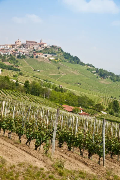 Тоскана виноградник — стокове фото