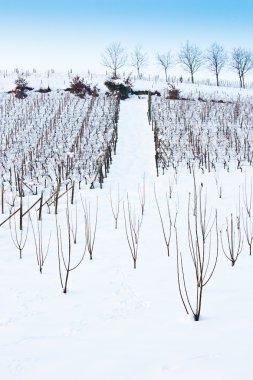 Tuscany: ÜRETIM kışın