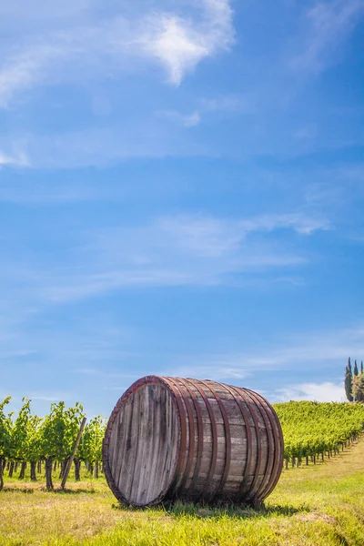 Toskánsko vinic — Stock fotografie