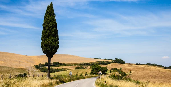 Weg in Toscane — Stockfoto